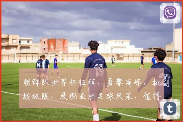 朝鲜队世界杯征程，勇攀高峰，挑战极限，展现亚洲足球风采，值得关注