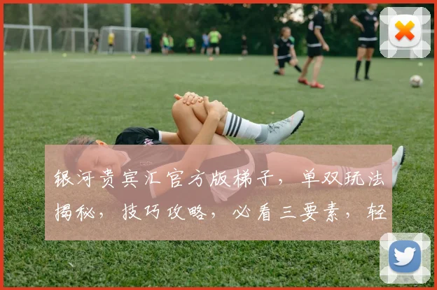 银河贵宾汇官方版梯子，单双玩法揭秘，技巧攻略，必看三要素，轻松盈利