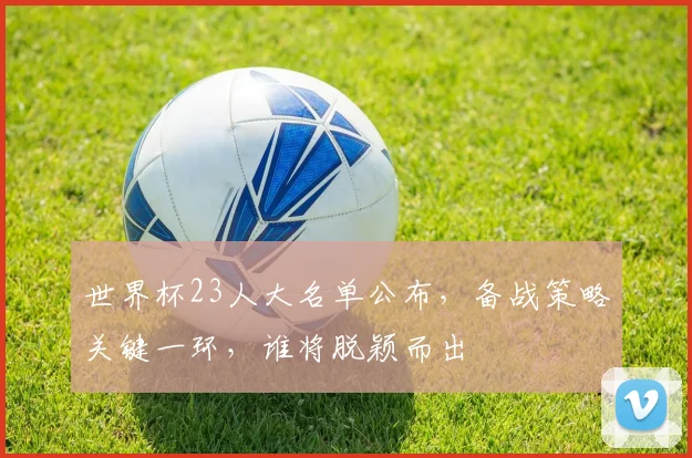 世界杯23人大名单公布，备战策略关键一环，谁将脱颖而出
