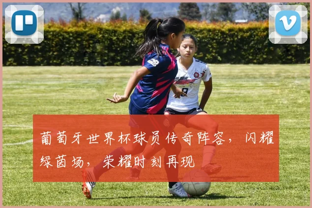 葡萄牙世界杯球员传奇阵容，闪耀绿茵场，荣耀时刻再现